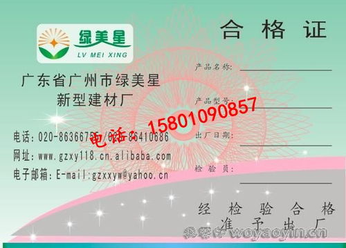 北京網(wǎng)絡技術服務 賦能數(shù)字時代的創(chuàng)新引擎